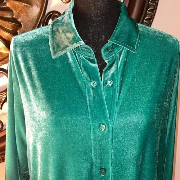 Soft Surroundings Women’s Velvet Mint Green Boyfriend Tunic Top Blouse Medium - Picture 9 of 14